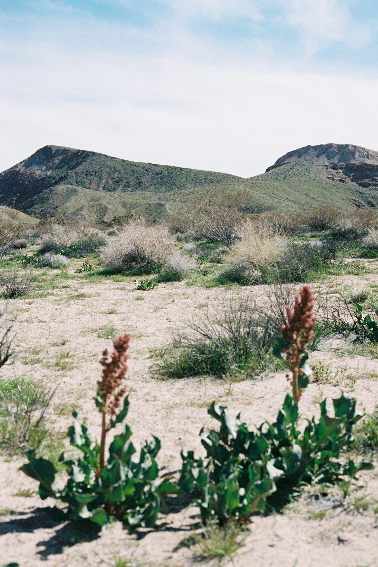 Custom Made-To-Order