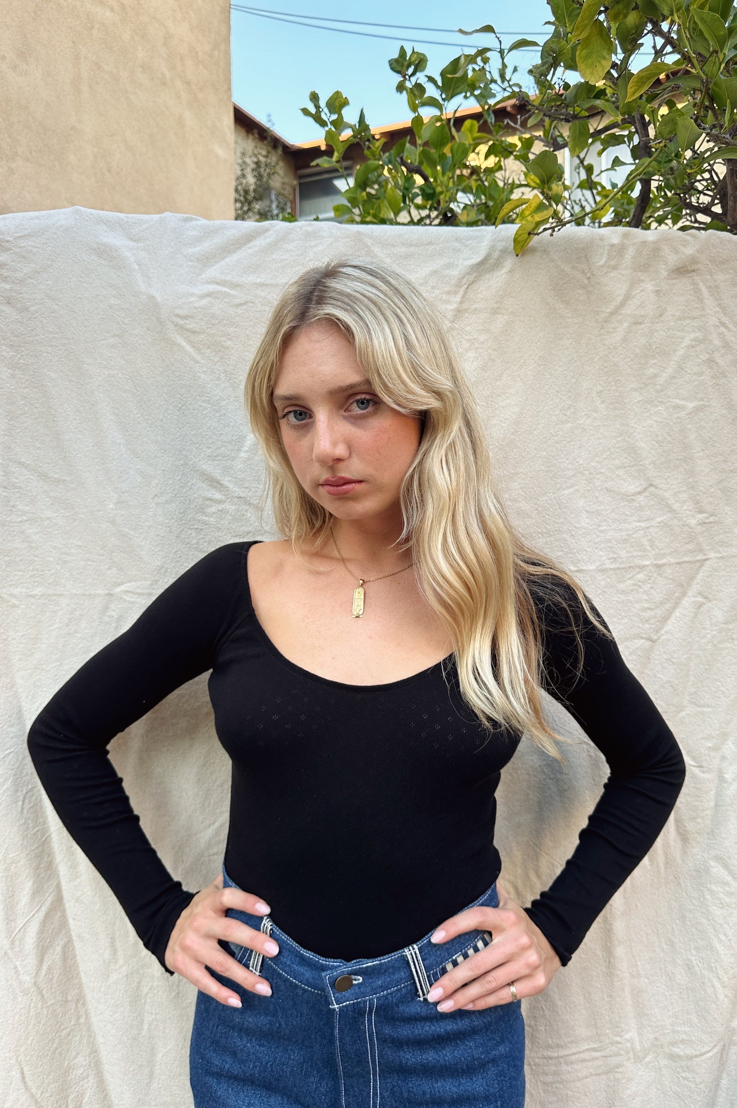 Swan Top