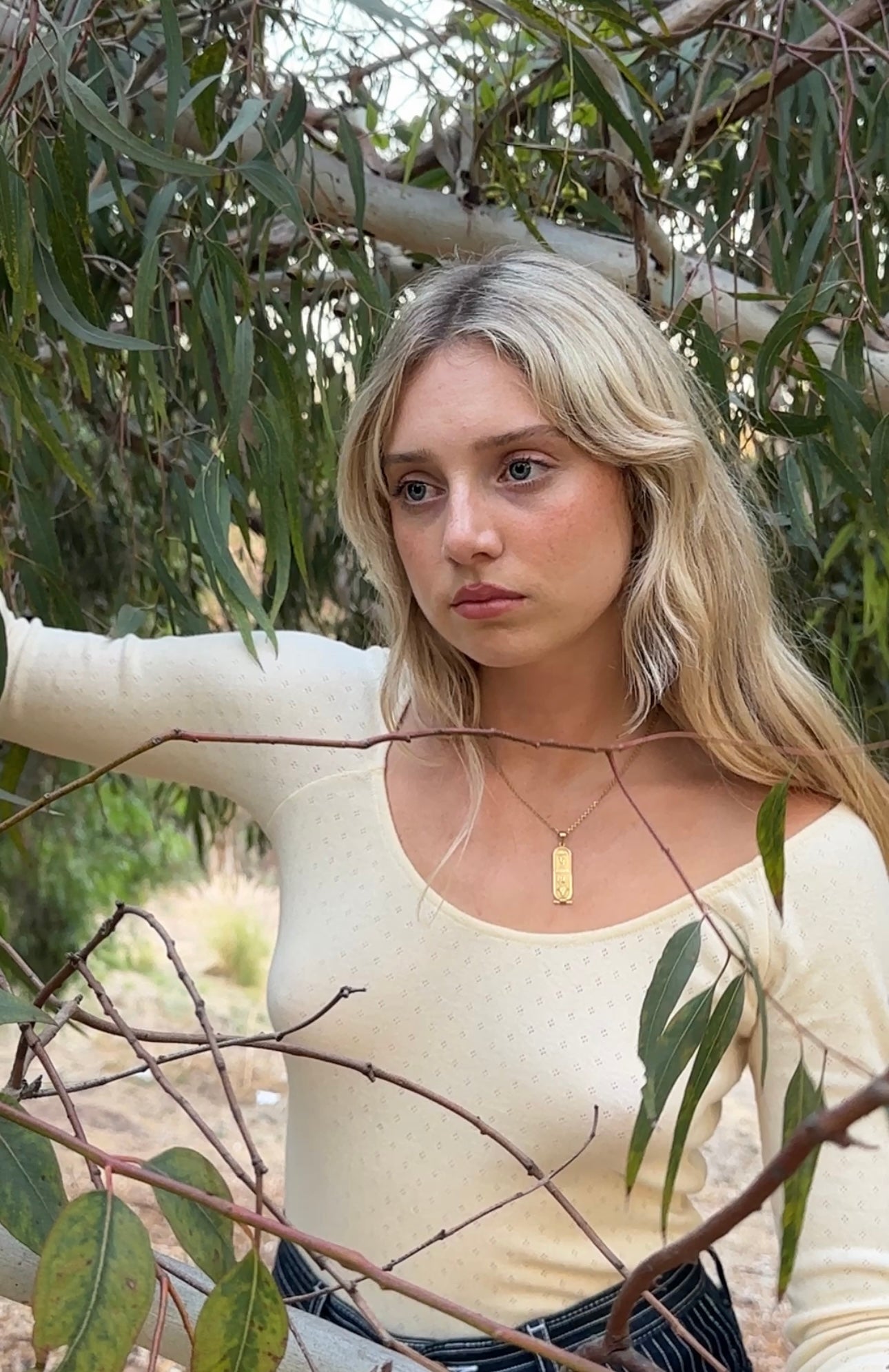 Swan Top